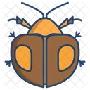 Omaspides  Icon