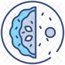 Omelettes Icon