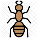 An  Symbol