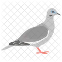 Pombo Pomba Passaro Voador Icon