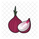 Onion Food Healthy Icon