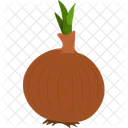 Onion Food Vegetarian Icon