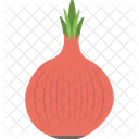 Onion Agriculture Vegetable Icon
