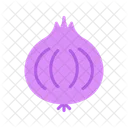 Onion  Icon