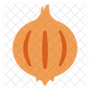 Onion Vegetable Healthy Icon