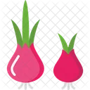 M Onion Icon