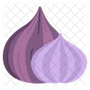 Onion Herbal Spices Icon