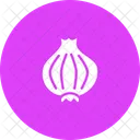 Onion Spice Vegetable Icon