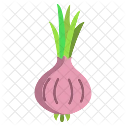 Onion  Icon