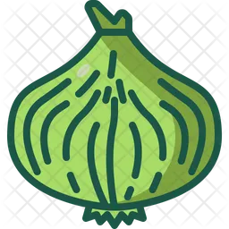 Onion  Icon