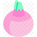 Onion  Icon