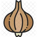 Onion Vegetable Bulb Icon