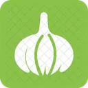 Onion Food Vegetable Icon