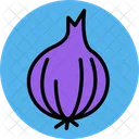 Onion Bulb Common Icon