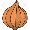 Onion Vegetable Ingredient Icon