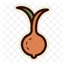 Onion Veggie Vegetable Icon