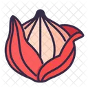 Onion  Icon