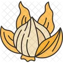 Onion Peel Dry Icon