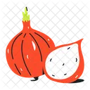 Allium Cepa Onion Vegetable Icon