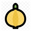 Onion Spicy Vegetable Icon