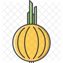 Onion Vegetable Cooking Icon