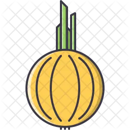 Onion  Icon