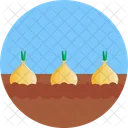 Bio Food And Agriculture Onion Farm Icon
