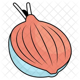 Onion  Icon