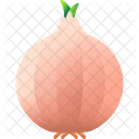 Onion Food Indian Icon