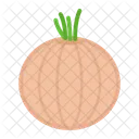 Onion Herbs Root Icon