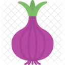 Food Healthy Onion Icône