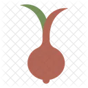 Onion  Icon