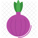 Onion Organic Food Icône