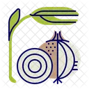 Onion Icon