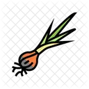 Onion Plant Plant Natural Icon
