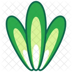 Onion slide  Icon