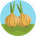 Onions Garden Plant Icon