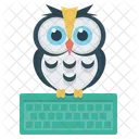 Owl Keyboard Icon