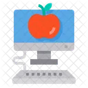 Computer Monitor Screen Icon