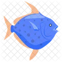 Opah Sonnenbarsch Kugelfisch Symbol