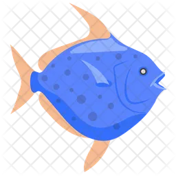 Opah  Icon