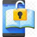 Access Open Key Icon