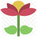 Open Flower  Icon