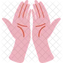 Hand Gesture Hand Gesture Icône