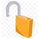 Open Lock Lock Unlocking Icon