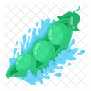 Open Peas Fresh Peas Green Vegetable Icon