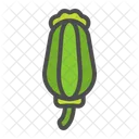 Opium Plant Nature Icon