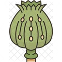 Opium Poppy Narcotic Icône