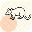 Opossum Icône