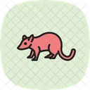 Beutelratte Symbol